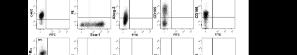 Adult cardiac stem cells are multipotent and robustly myogenic: c-kit expression is necessary but not sufficient for their identification